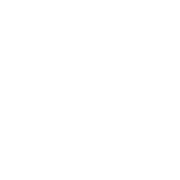 Ayurvedic icon